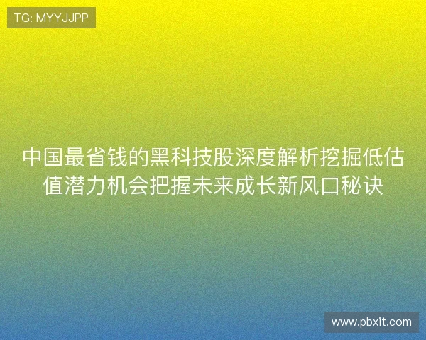 中国最省钱的黑科技股深度解析挖掘低估值潜力机会把握未来成长新风口秘诀